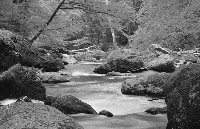 Mach‘ die Growth-Mind-Matrix!